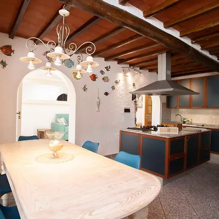 Villa Octopus Willa *